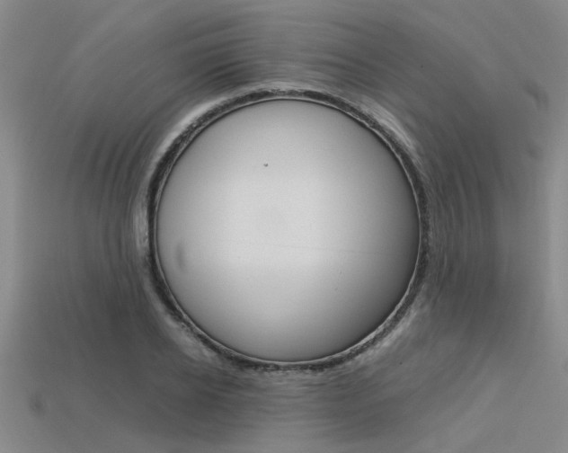 X0000113560934200909181017