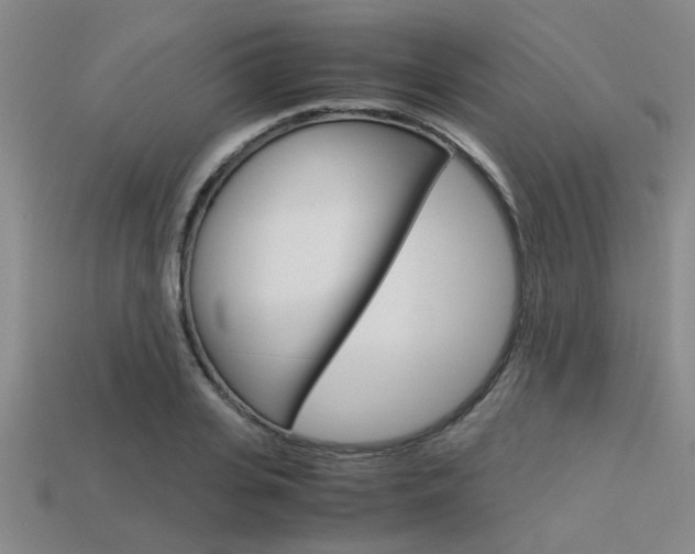 X0000113560935200909181017