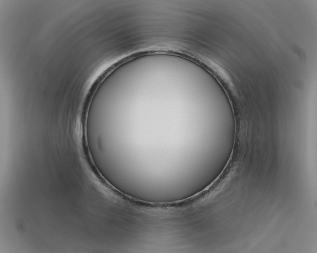 X0000113560936200909181017