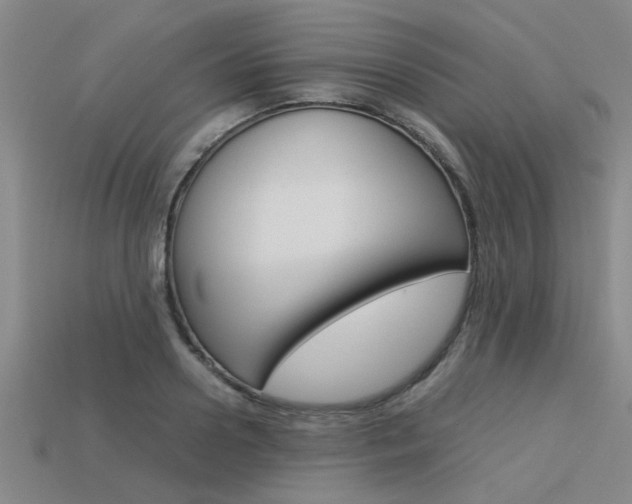 X0000113560938200909181017
