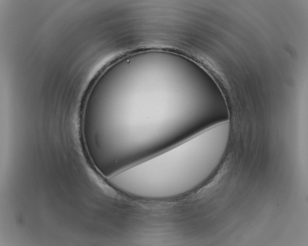 X0000113560942200909181018