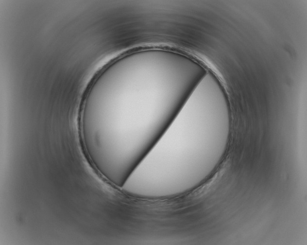X0000113560943200909181018