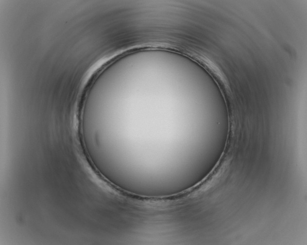 X0000113560944200909181018