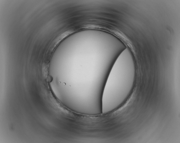 X0000113560945200909181018