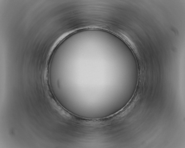 X0000113560948200909181018