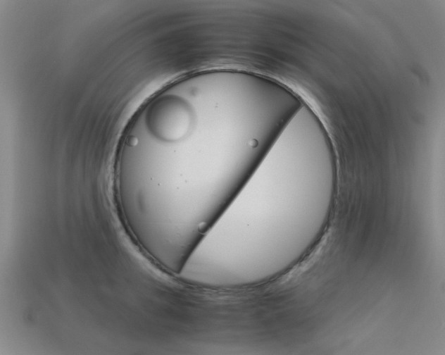 X0000113560949200909181018