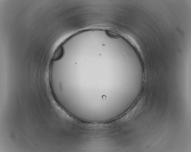 X0000113560952200909181018