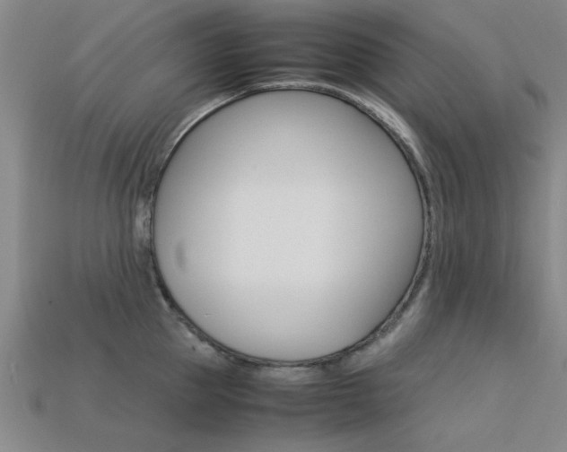 X0000113560953200909181018