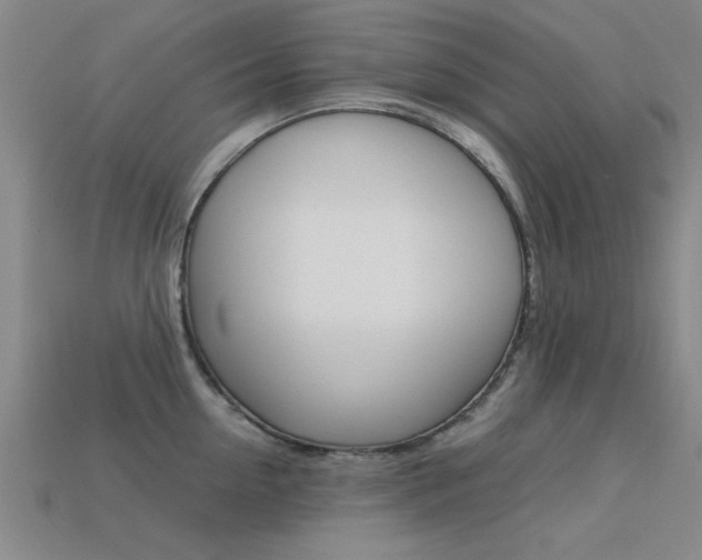 X0000113560954200909181018