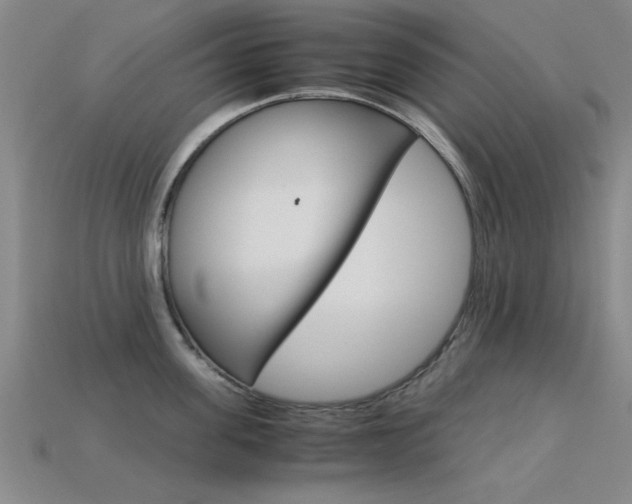 X0000113560955200909181018