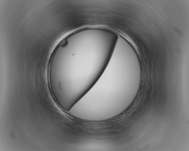 X0000113560959200909181018