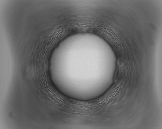 X0000113560961200909181017