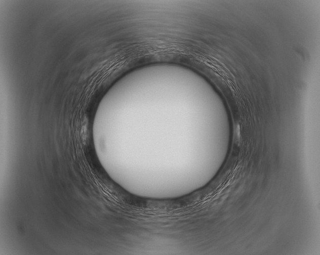 X0000113560963200909181017