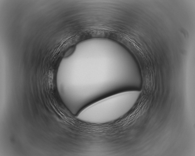 X0000113560964200909181017