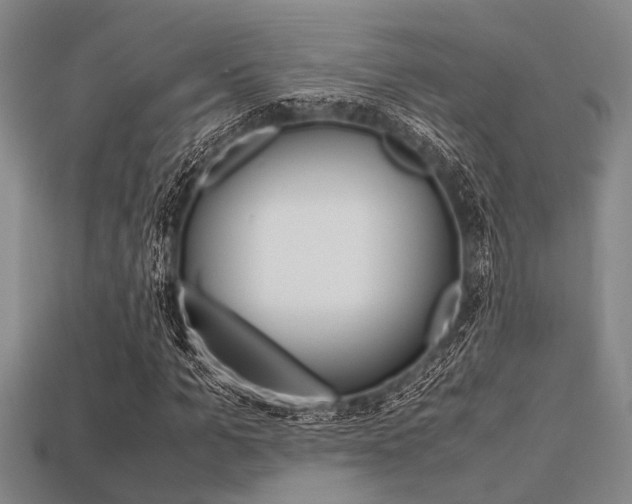 X0000113560965200909181017