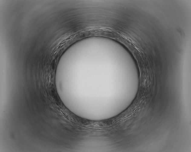 X0000113560966200909181017