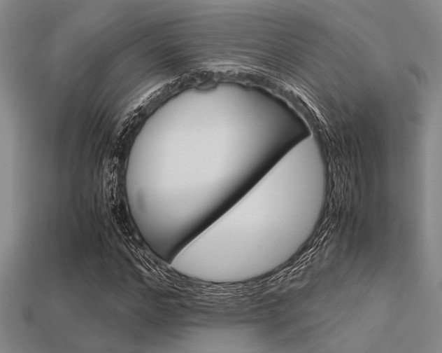 X0000113560968200909181017