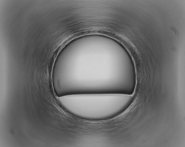 X0000113560969200909181017