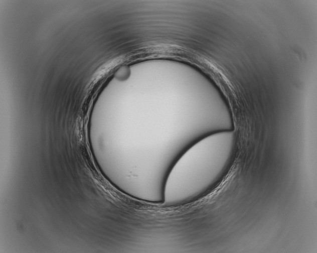 X0000113560970200909181017