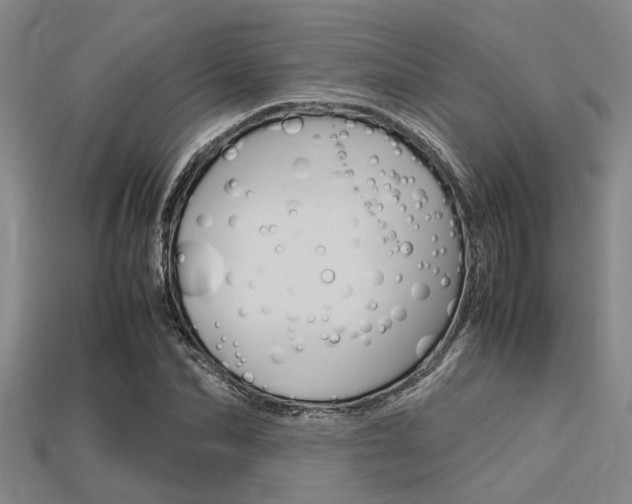 X0000113560974200909181017