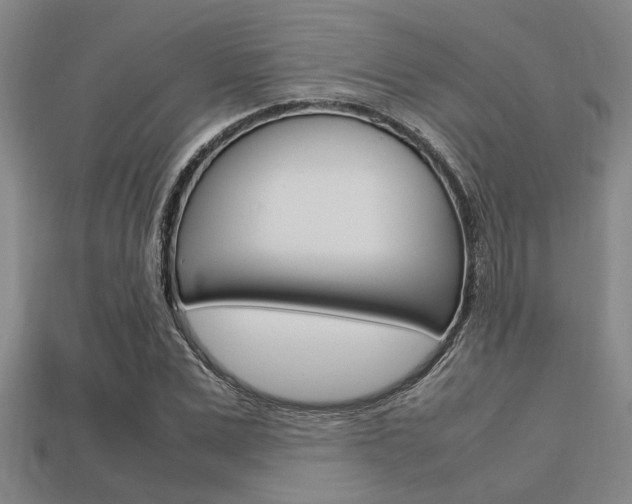 X0000113560975200909181017
