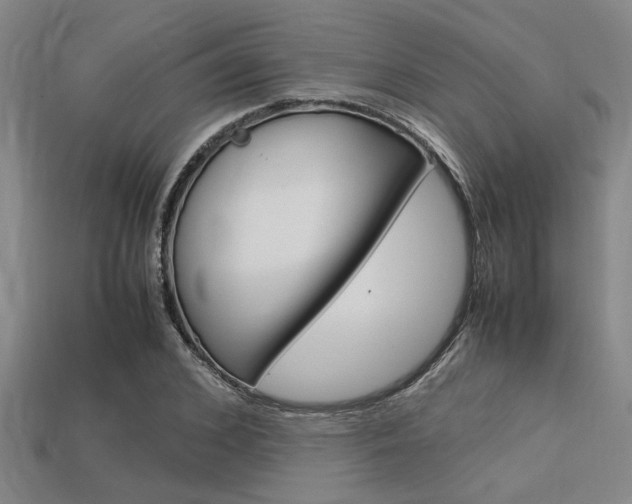 X0000113560976200909181017