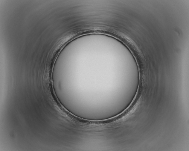 X0000113560977200909181017