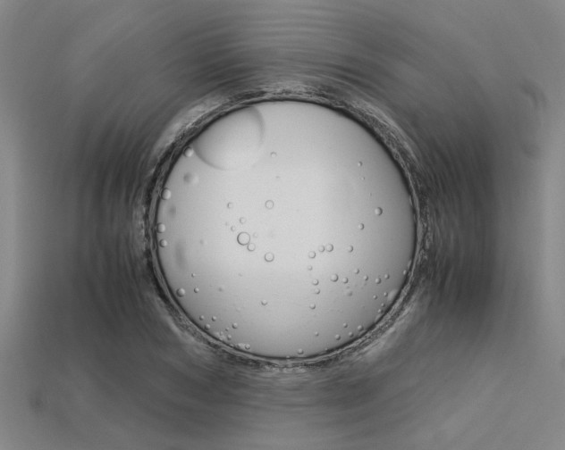 X0000113560978200909181017
