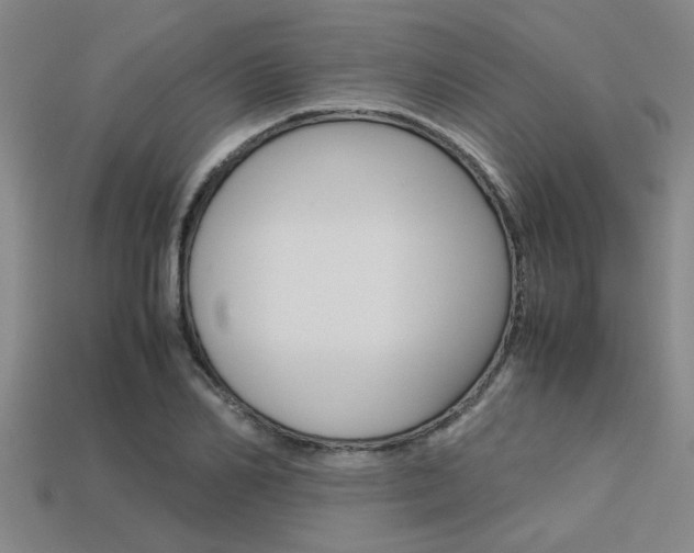 X0000113560982200909181017