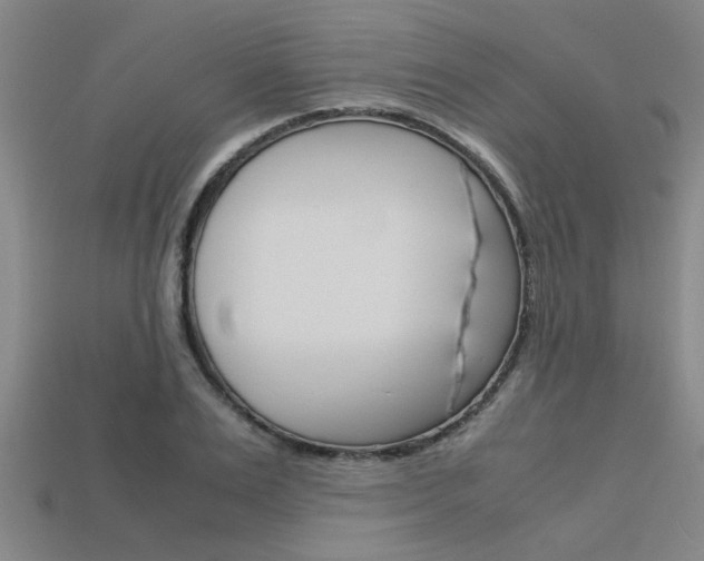 X0000113560983200909181017