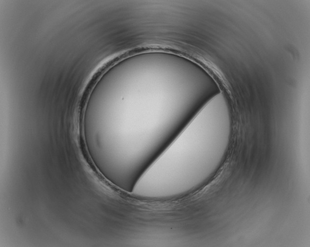 X0000113560984200909181017