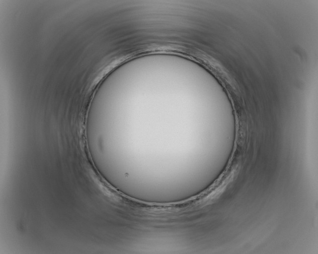 X0000113560985200909181017
