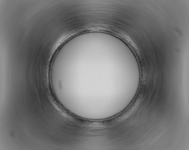 X0000113560986200909181017