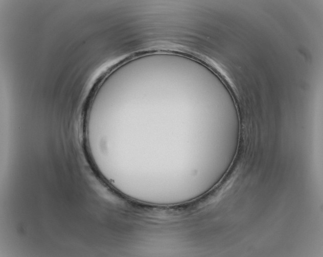 X0000113560987200909181017