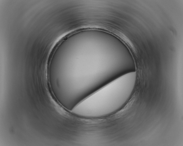 X0000113560988200909181017