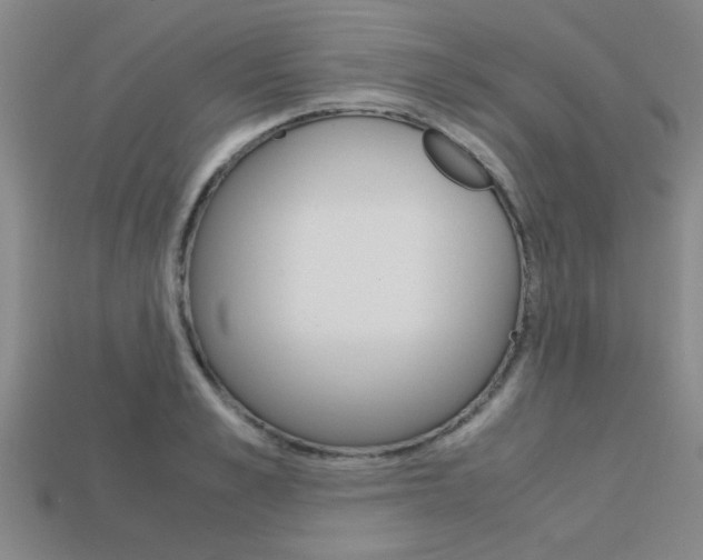 X0000113560989200909181017