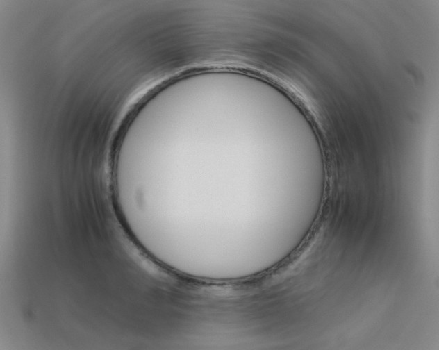 X0000113560990200909181017