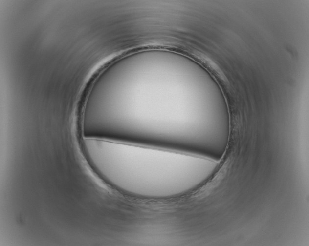 X0000113560991200909181017