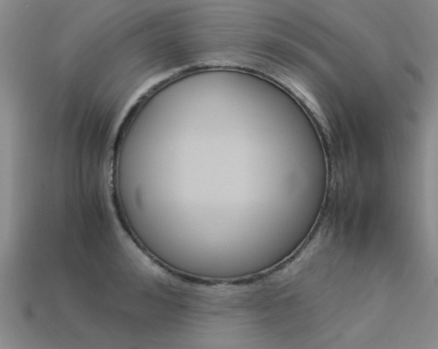 X0000113560992200909181017