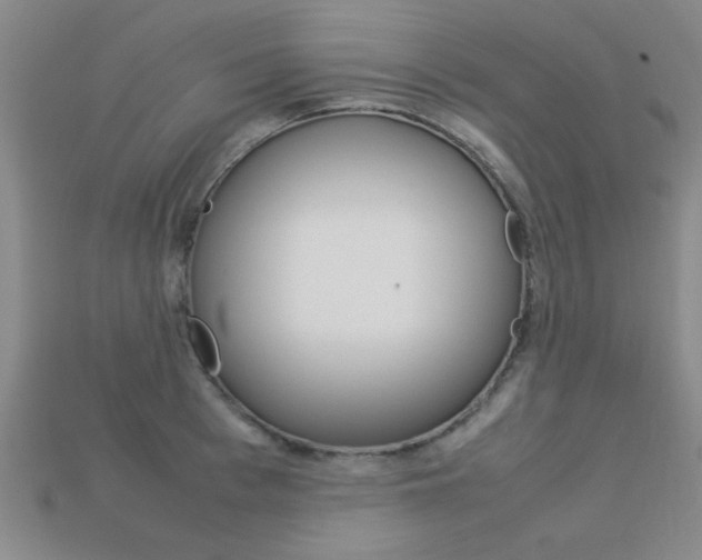 X0000113560993200909181017
