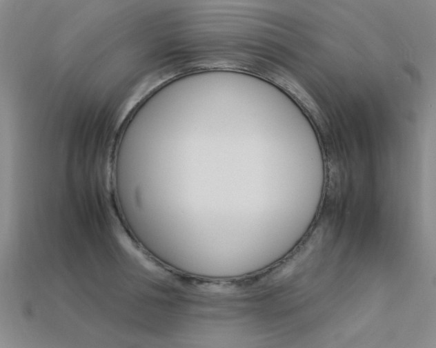 X0000113560994200909181017