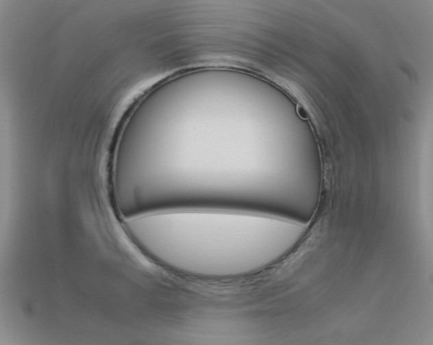X0000113560995200909181017