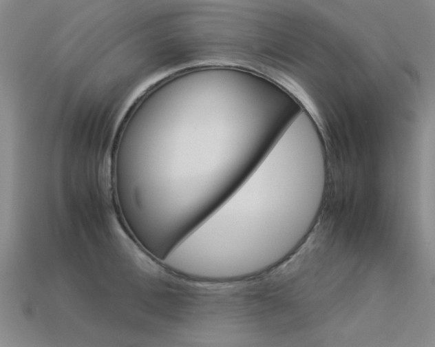 X0000113560996200909181017