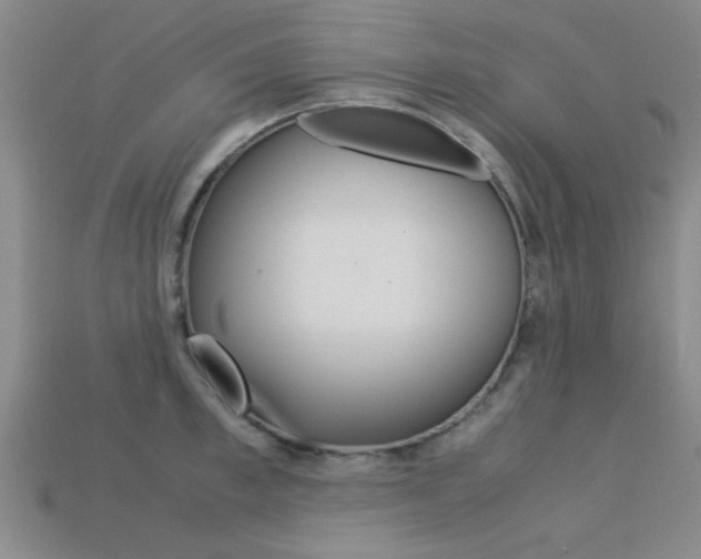 X0000113560997200909181017