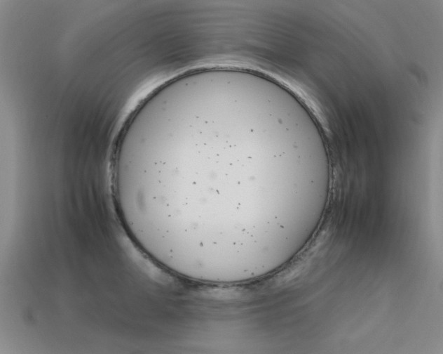 X0000113560998200909181017
