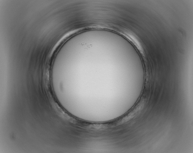 X0000113561000200909181017
