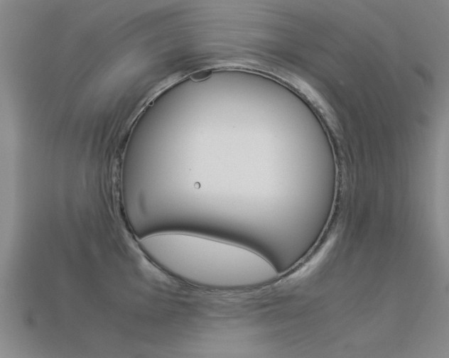 X0000113561001200909181017
