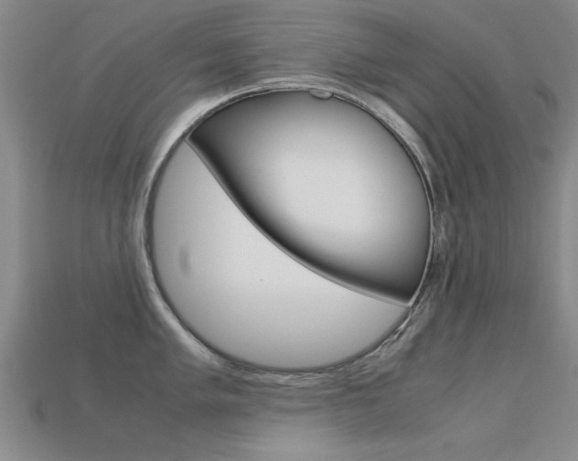 X0000113561005200909181017