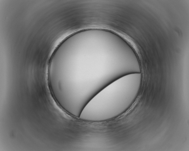 X0000113561006200909181017