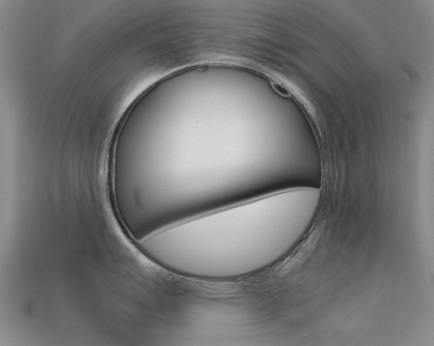 X0000113561007200909181017